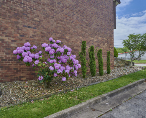 Briarwood Apartments and Townhomes Exterior Detail